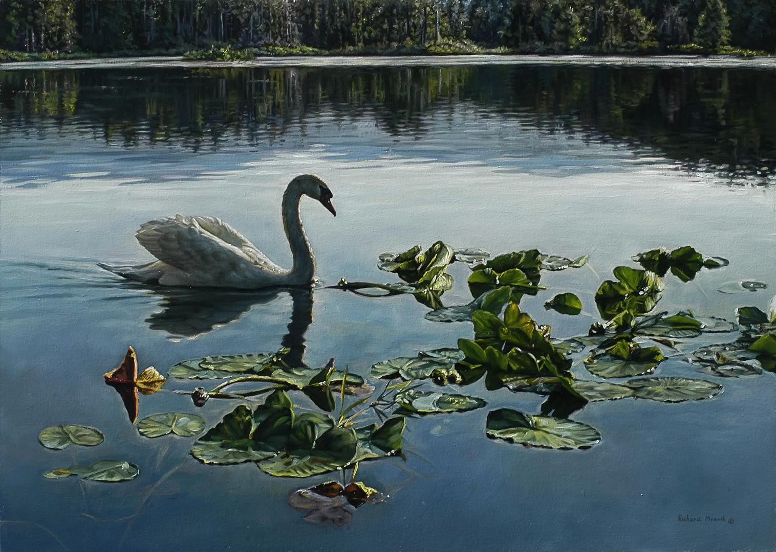 Swan Lake 28" x 20"